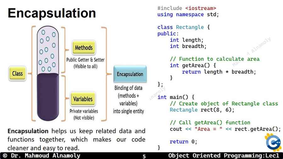 Slide 5