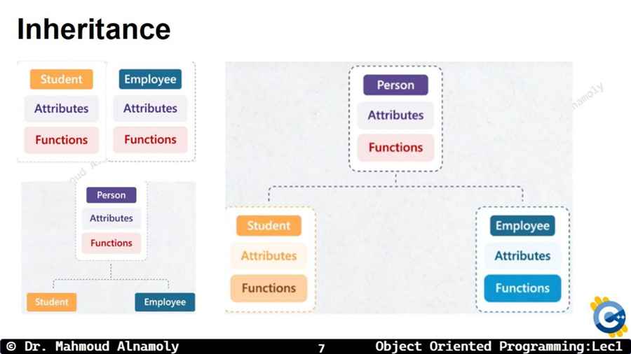 Slide 7