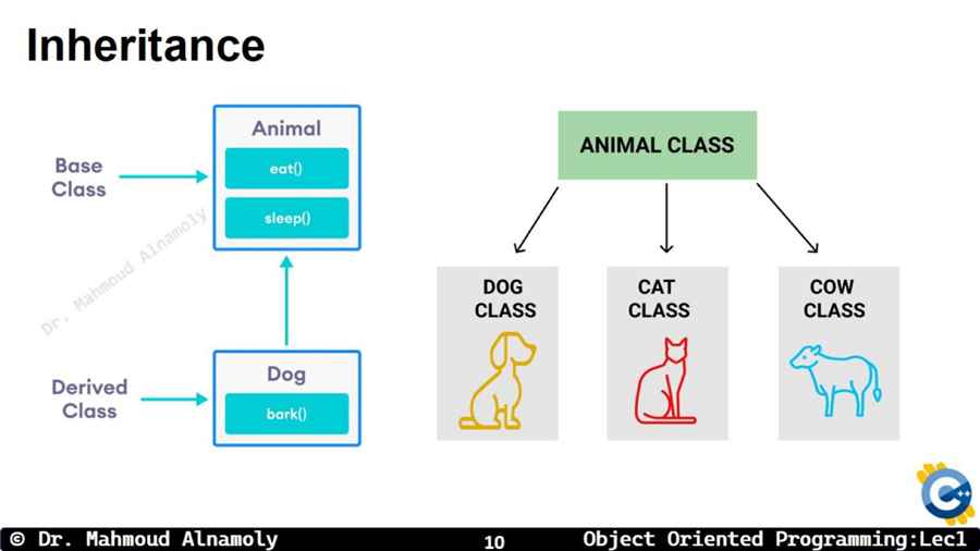 Slide 10