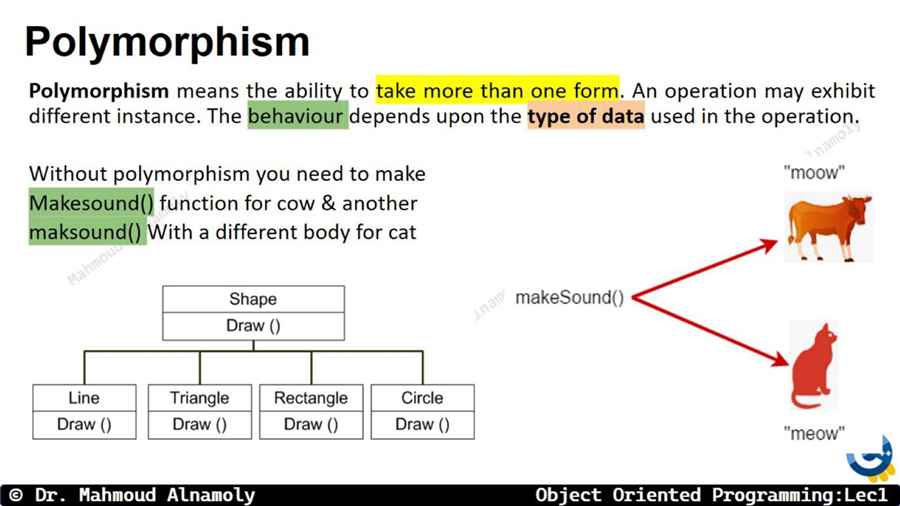 Slide 12