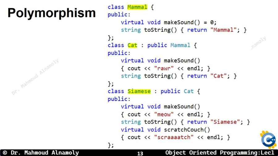 Slide 13