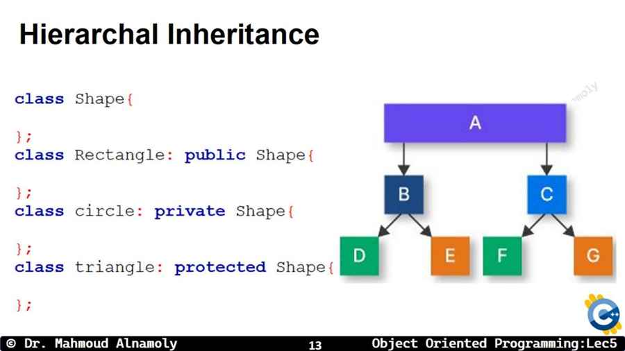 Slide 13